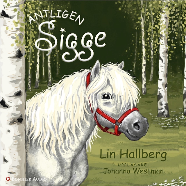 Buchcover für Äntligen Sigge