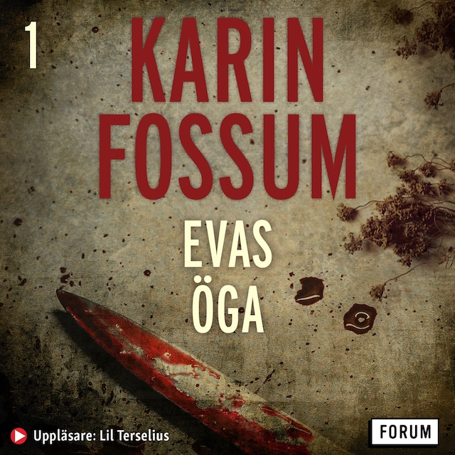 Book cover for Evas öga