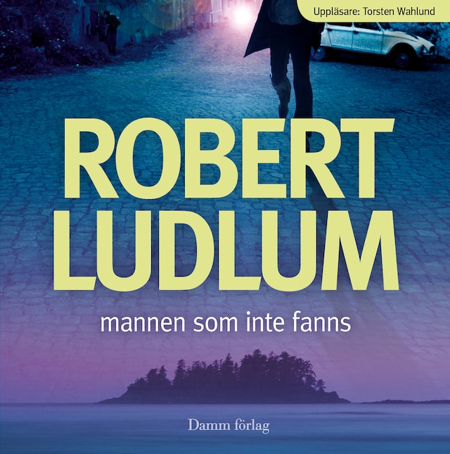 Book cover for Mannen som inte fanns