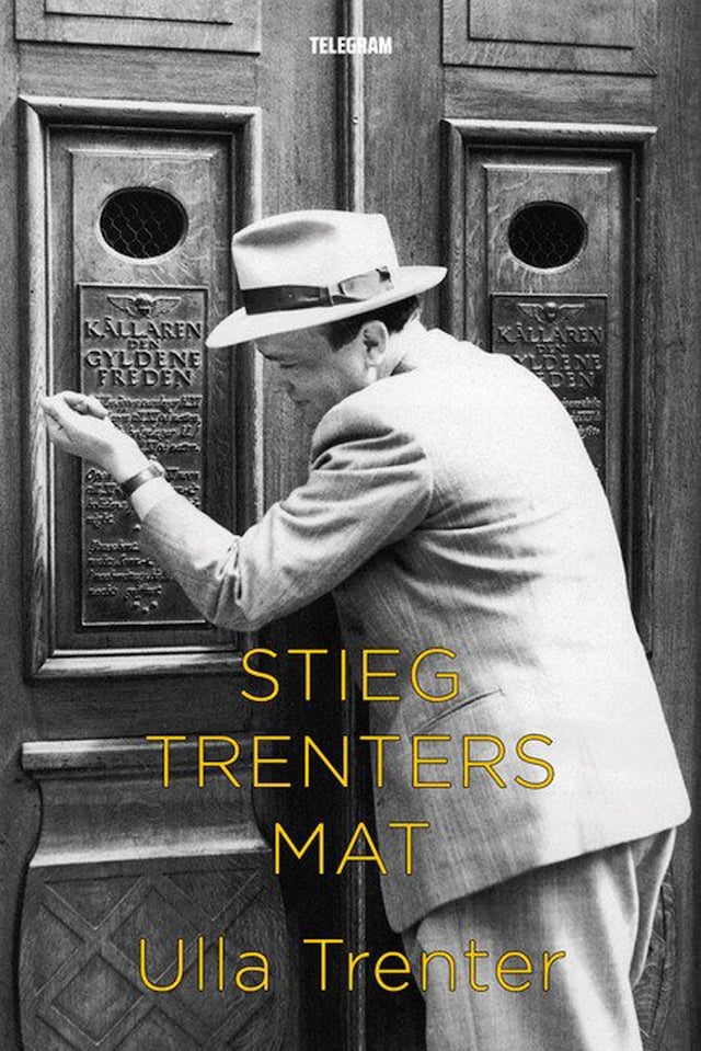 Book cover for Stieg Trenters mat