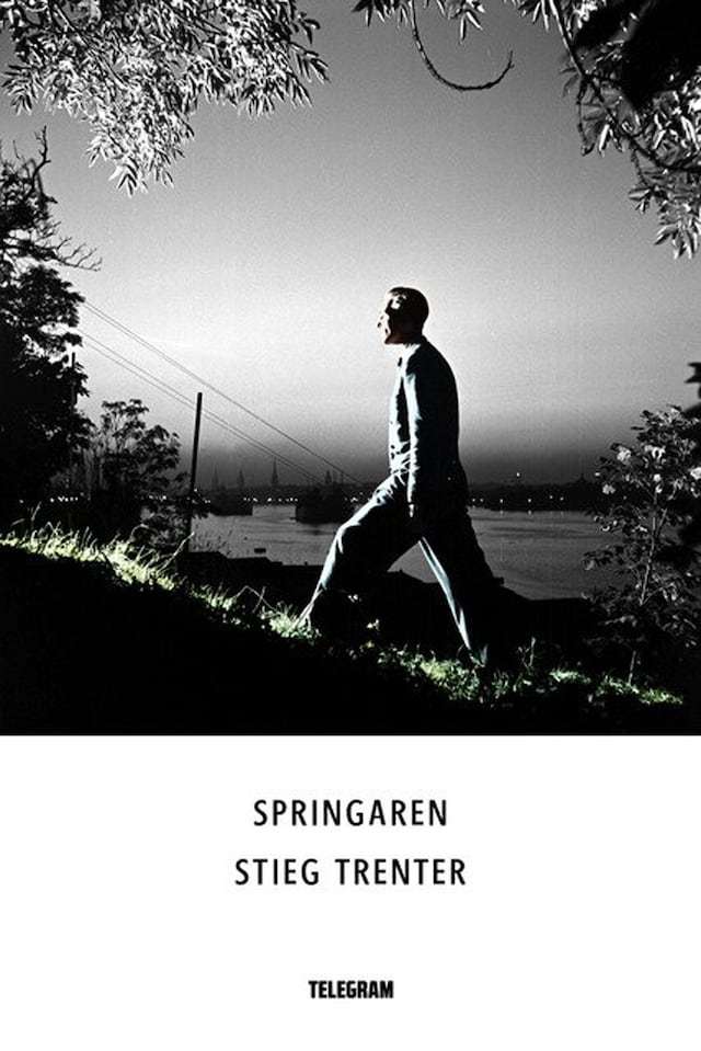 Book cover for Springaren