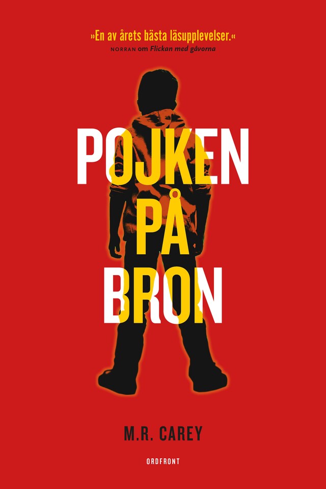 Book cover for Pojken på bron