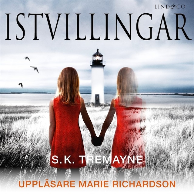 Okładka książki dla Istvillingar