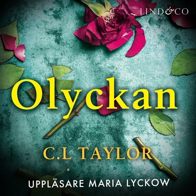 Olyckan