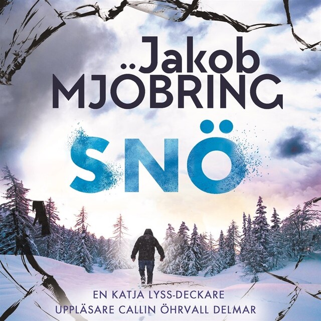 Copertina del libro per Snö