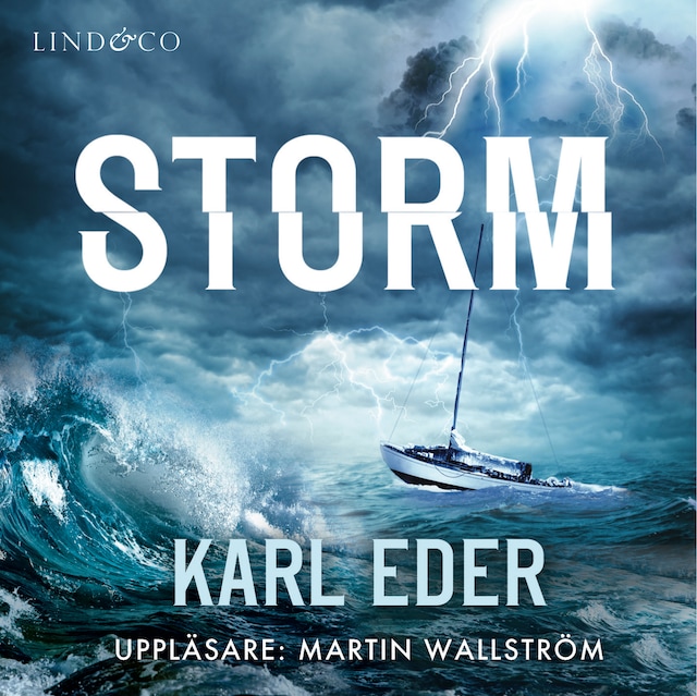 Copertina del libro per Storm