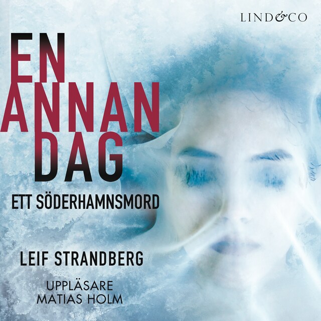 Book cover for En annan dag