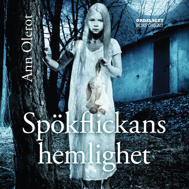 Book cover for Spökflickans hemlighet