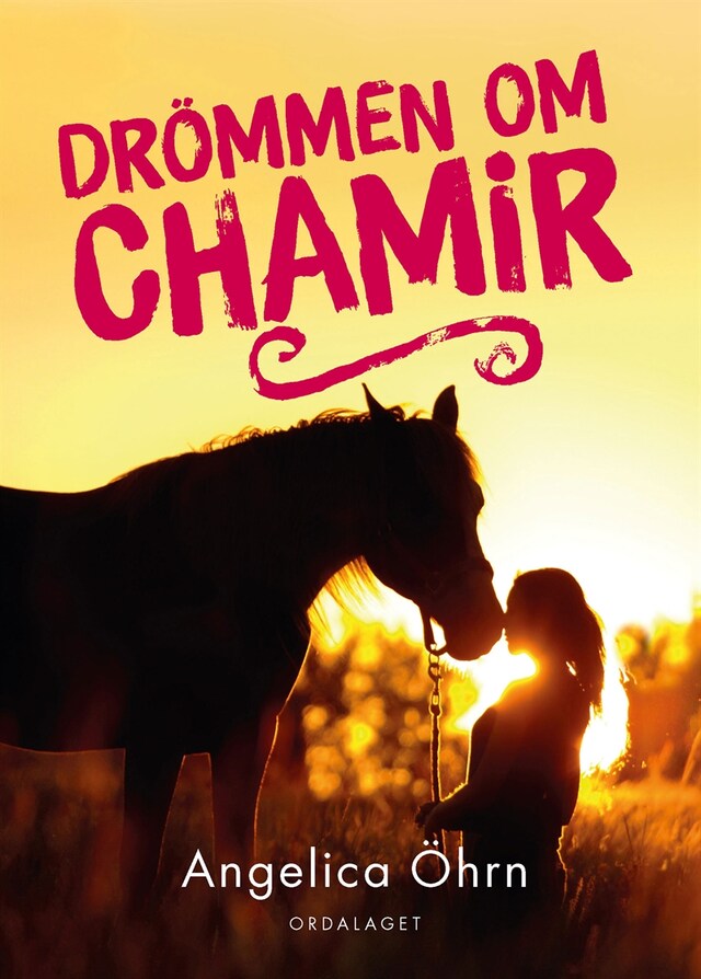 Book cover for Drömmen om Chamir