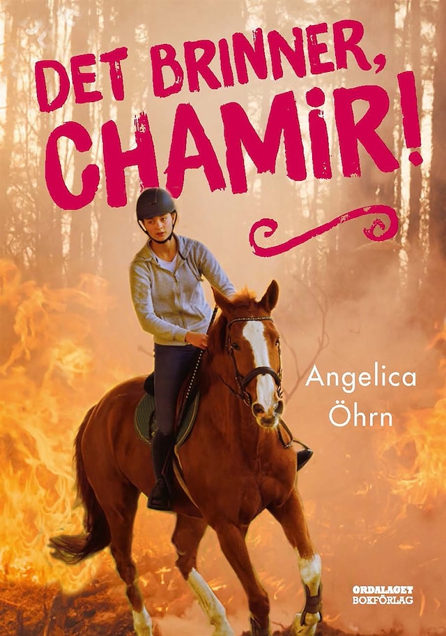 Book cover for Det brinner, Chamir!