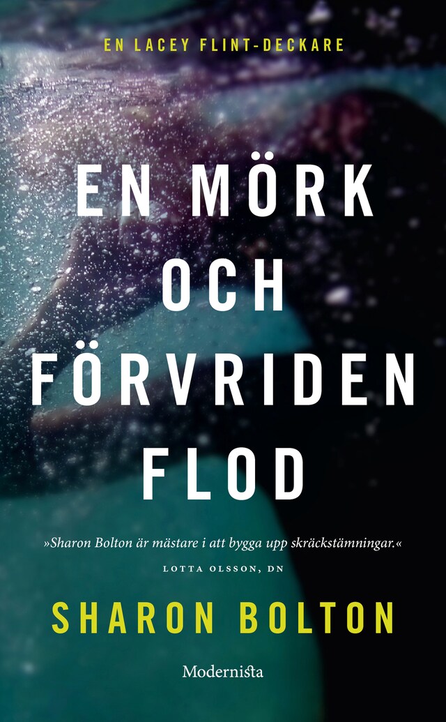 Book cover for En mörk och förvriden flod