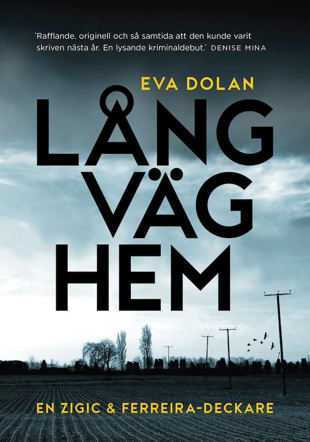 Book cover for Lång väg hem (Zigic och Ferreira, del 1)