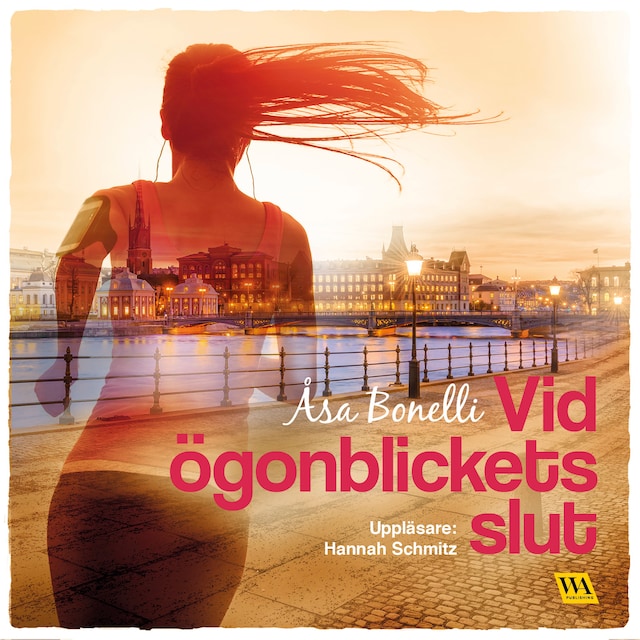 Couverture de livre pour Vid ögonblickets slut