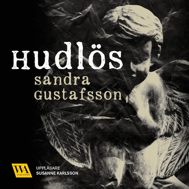 Couverture de livre pour Hudlös