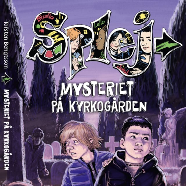 Buchcover für Mysteriet på kyrkogården