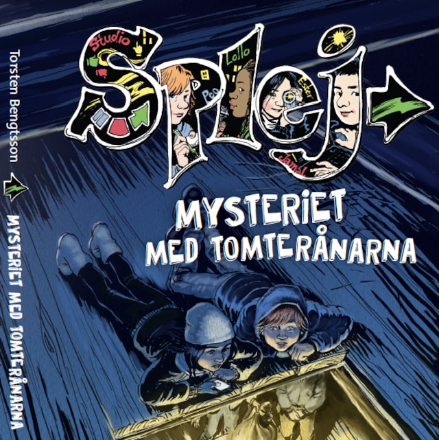 Book cover for Mysteriet med tomterånarna