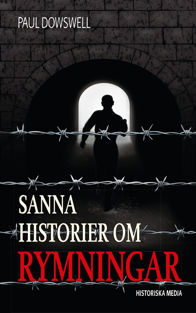 Couverture de livre pour Sanna historier om rymningar