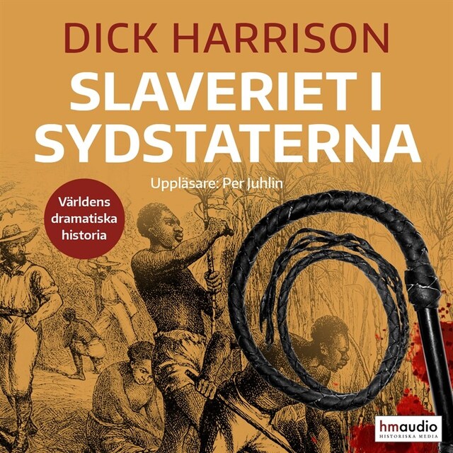 Book cover for Slaveriet i Sydstaterna