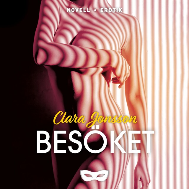 Book cover for Besöket