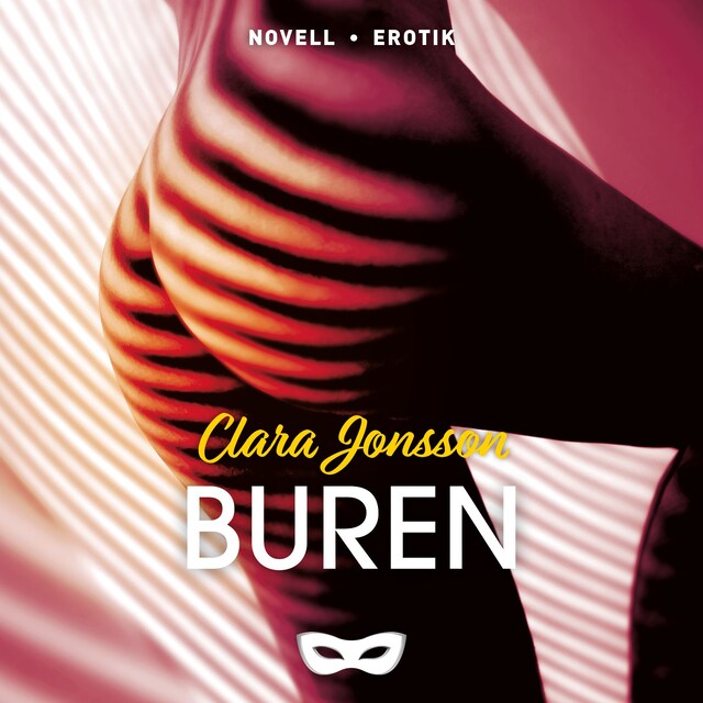 Book cover for Buren