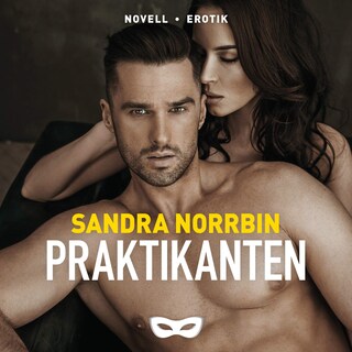 Praktikanten bookCoverFor
