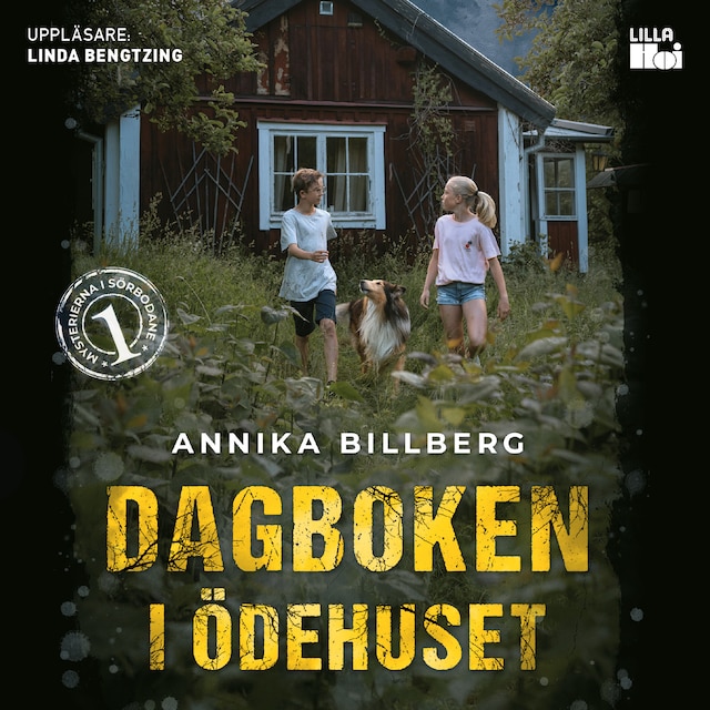Book cover for Dagboken i ödehuset