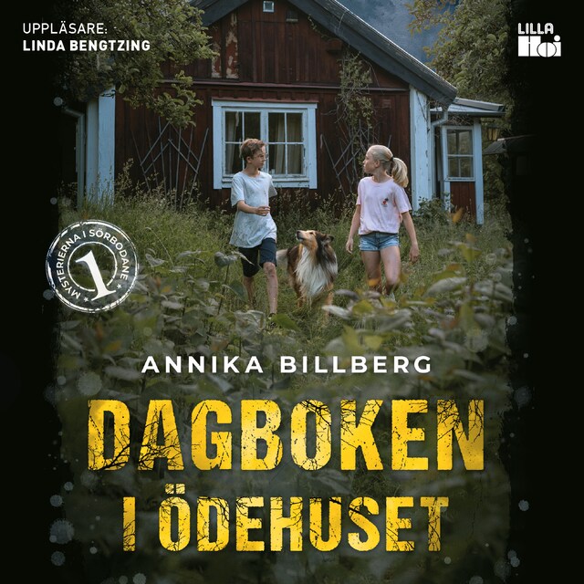 Buchcover für Dagboken i ödehuset