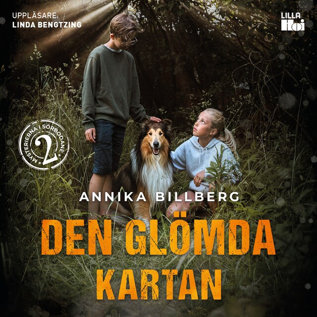 Book cover for Den glömda kartan