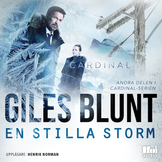 Book cover for En stilla storm