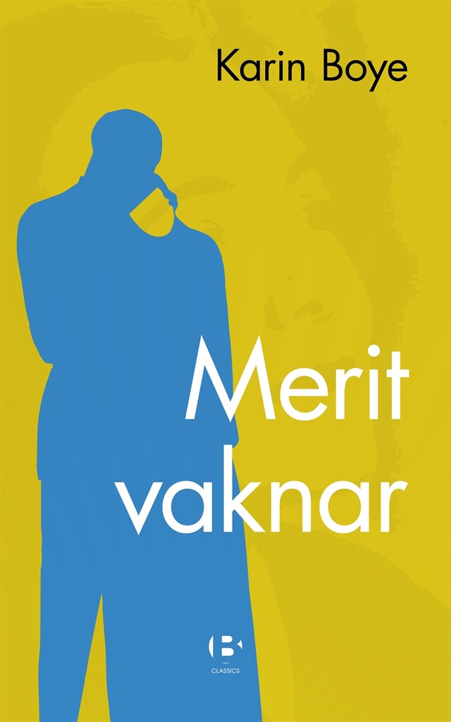 Book cover for Merit vaknar