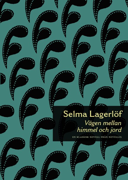 Vägen mellan himmel och jord bookCoverFor
