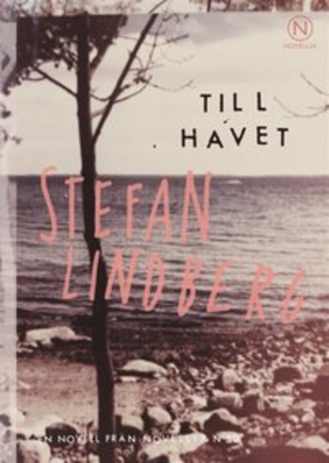 Book cover for Till havet