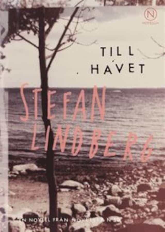 Book cover for Till havet