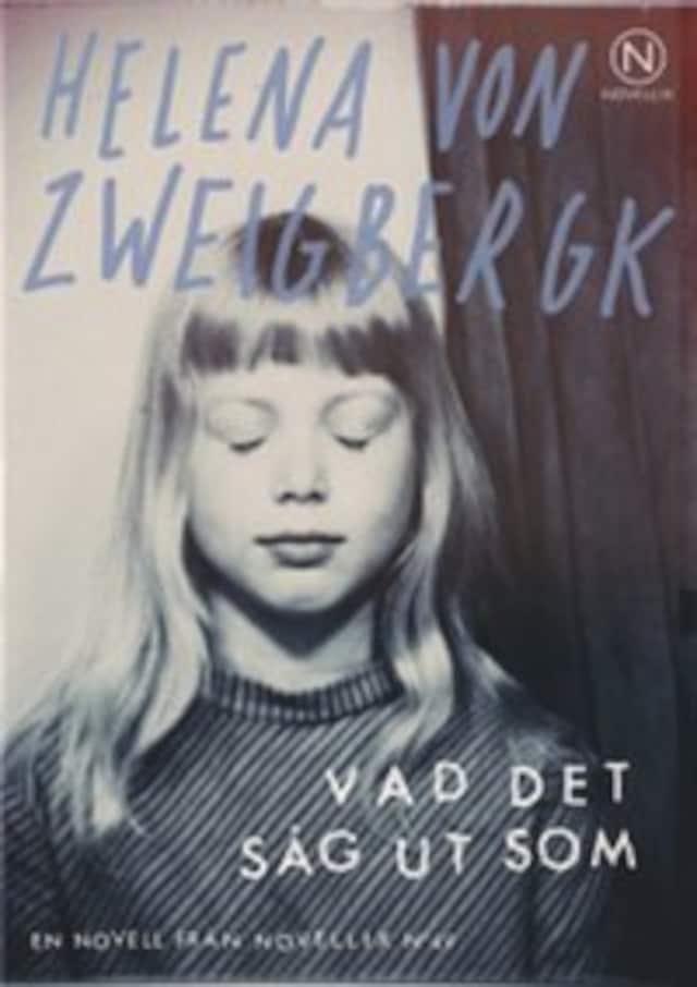 Book cover for Vad det såg ut som