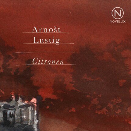 Citronen bookCoverFor
