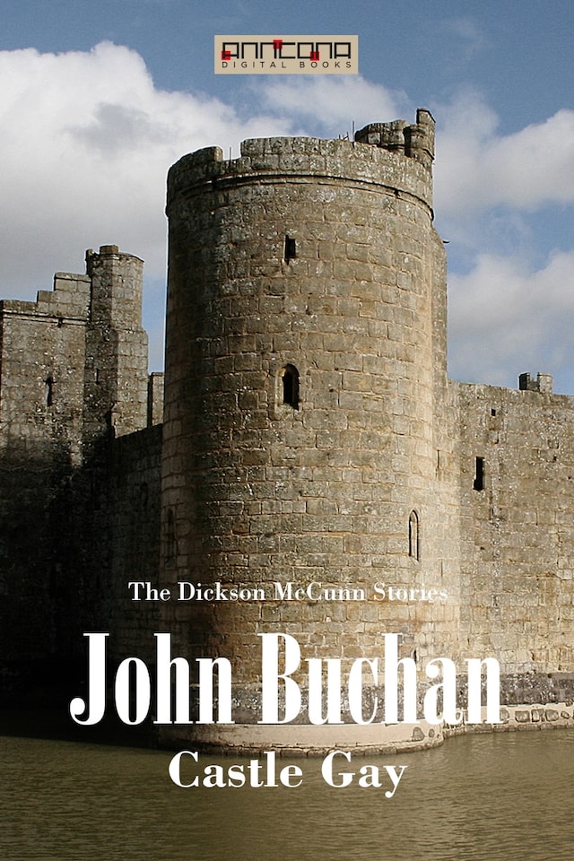 Book cover for Castle Gay