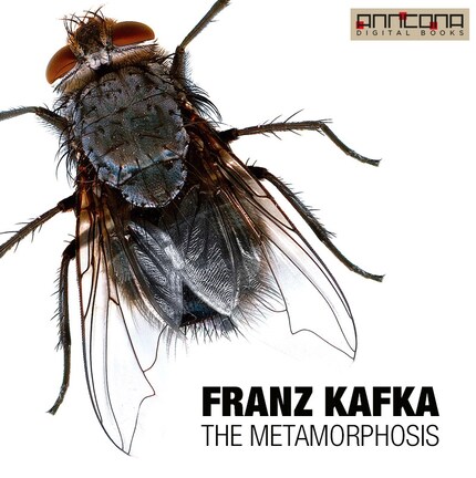 The Metamorphosis bookCoverFor