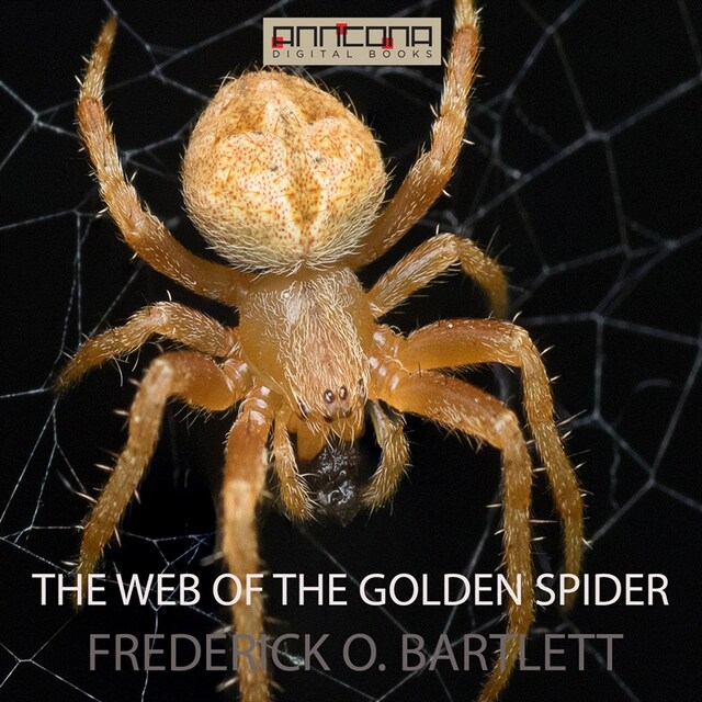 Kirjankansi teokselle The Web of the Golden Spider