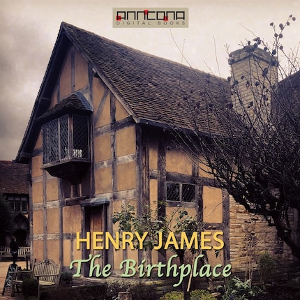The Birthplace bookCoverFor