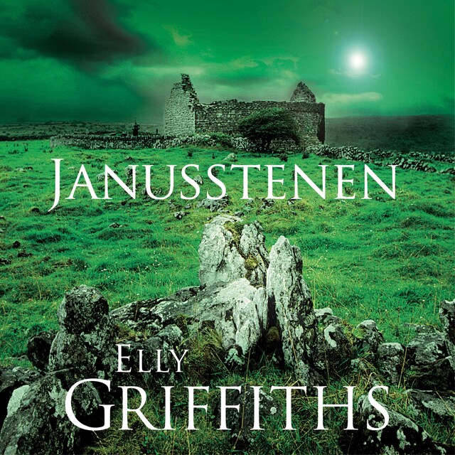 Book cover for Janusstenen