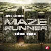 Maze runner - I dödens labyrint