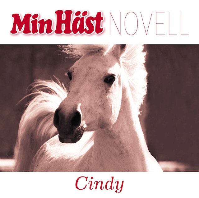 Book cover for Cindy