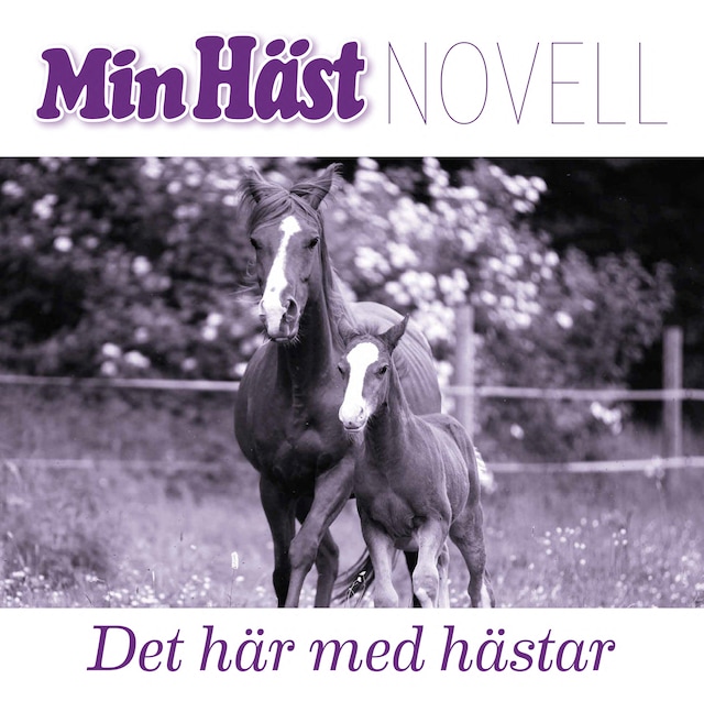 Okładka książki dla Det här med hästar