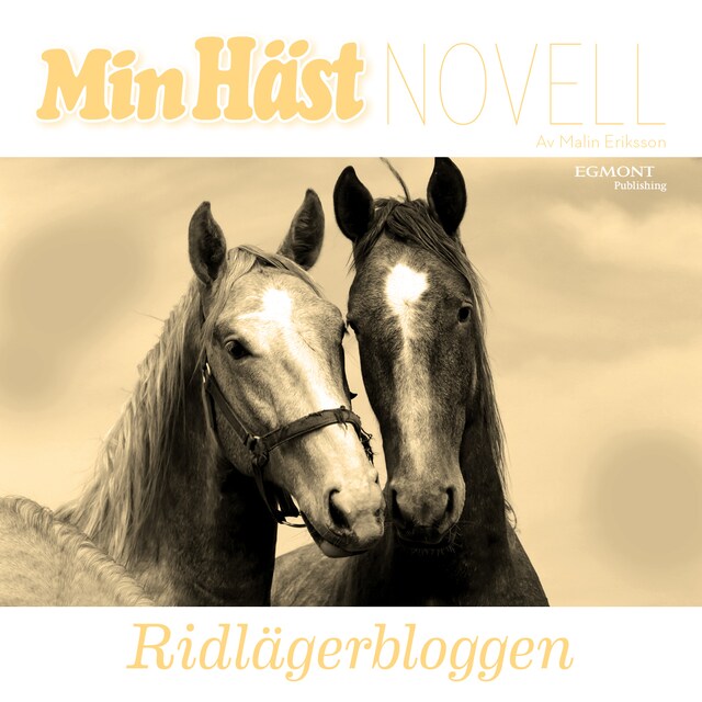 Bogomslag for Ridlägerbloggen