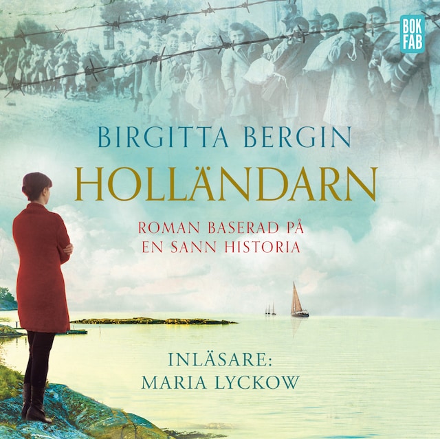 Book cover for Holländarn