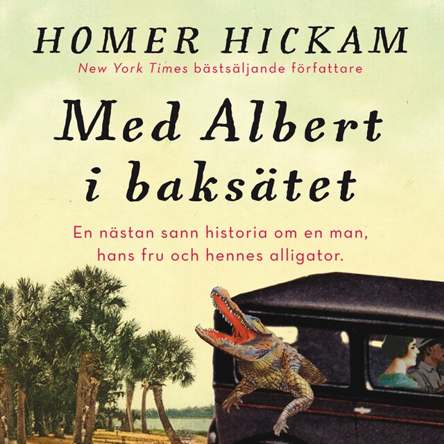 Book cover for Med Albert i baksätet