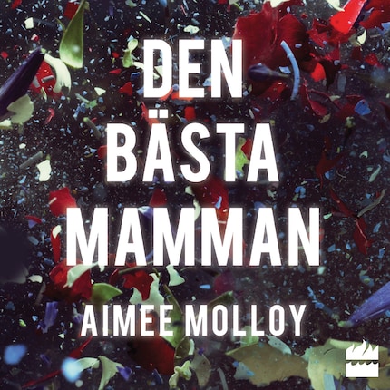 Den bästa mamman bookCoverFor