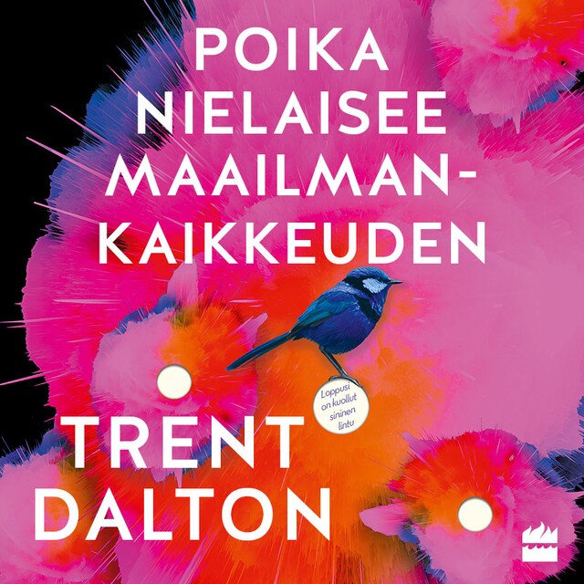 Portada de libro para Poika nielaisee maailmankaikkeuden