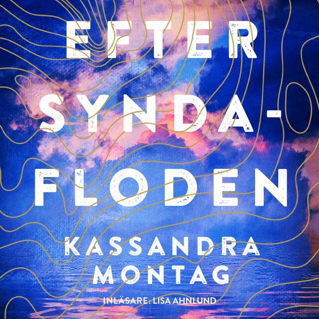 Book cover for Efter syndafloden