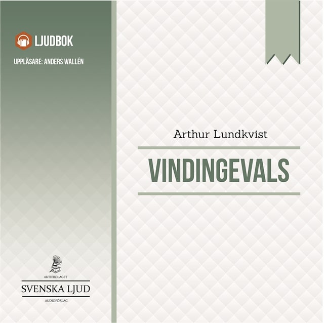 Book cover for Vindingevals